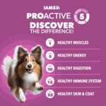 IAMS Proactive Health Mature Adult Large Breed Dry Dog Food for Senior Dogs with Real Chicken, 15 lb. Bag - Image 3