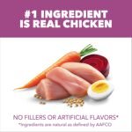 IAMS Proactive Health Mature Adult Large Breed Dry Dog Food for Senior Dogs with Real Chicken, 15 lb. Bag - Image 4