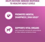 IAMS Proactive Health Mature Adult Large Breed Dry Dog Food for Senior Dogs with Real Chicken, 15 lb. Bag - Image 5