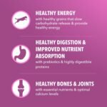 IAMS Proactive Health Mature Adult Large Breed Dry Dog Food for Senior Dogs with Real Chicken, 15 lb. Bag - Image 6