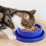 Ants Away Dog Bowl Cat Puppy Food Bowls Round No Spill Eating Feeder for Small Animals Brown S - Image 7