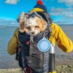 SLSON Collapsible Dog Bowl, 2 Pack Macaron Color Foldable Travel Dog Feeder Bowl Portable Silicone Pet Food Water Dish for Dogs Cats Camping Hiking (Macaron Blue and Light Grey) - Image 10