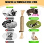 Catnip Toy, 4Pack Silvervine Sticks for Cats,Cat&Kitten Chew Toy,Cat Toys for Indoor Cats, Natural Jouet Pour Chat - Image 5