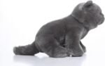 TAMMYFLYFLY Lifelike British Shorthair Cat Plush Stuffed Animal Toy British Shorthair Cat Animal Model 32cm - Image 4