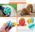 2 Pack Dog Toy Ball,Dog Pet Food Treat Feeder Chew Tooth Cleaning Ball Exercise Game IQ Training Ball for Small/Medium/Large Dog and Cat (Blue+Green, 2in（Small Dog&Puppy）) - Image 3