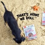 Polka Dog Bakery Single Ingredient Salmon Chips for Dogs Treat, 4 Oz - Image 7