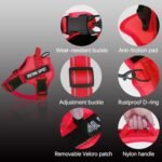 voopet Service Dog Harness, Emotional Support Pet Vest Harness, Reflective Breathable and Adjustable No-Pull ESA Dog Harness for Small Medium Large Dogs (with 4 PCS Removeable Tags) - Image 3
