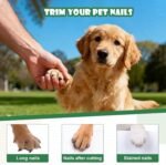 2-in-1 Dog Nail Grinder & Clipper with LED Light，Pet Nail Trimmer for Small, Medium, Large Dogs & Cats | Safe Electric File Grinding Tool for Pets Paw Care Grooming (Green) - Image 6