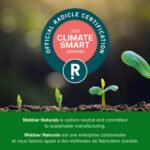 Webber Naturals Vitamin C Chewbale 500 mg, 300 Orange Flavour Tablets, For Bones, Teeth, Immune and Antioxidant Health - Image 9