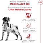 Royal Canin Medium Breed Adult Dry Dog Food, 30 lb bag - Image 4