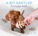 Benebone Puppy Fishbone Dog Chew Toys, Softer for Modest Chewers, Made in USA - Image 3