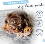 Benebone Puppy Fishbone Dog Chew Toys, Softer for Modest Chewers, Made in USA - Image 4