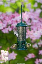 Squirrel Buster Standard Squirrel-Proof Feeder for Wild Birds – 4 Metal Perches, 1.3 lb Seed Capacity, Chew-Proof, Easy to Fill & Clean, Perfect for Sunflower Seeds, Blends & Dried Mealworms, Green - Image 4