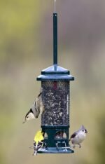 Squirrel Buster Standard Squirrel-Proof Feeder for Wild Birds – 4 Metal Perches, 1.3 lb Seed Capacity, Chew-Proof, Easy to Fill & Clean, Perfect for Sunflower Seeds, Blends & Dried Mealworms, Green - Image 5