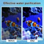 16 Pack Small Replacement Filter Cartridges for Tetra Whisper Bio-Bag Filter, Small Fish Tank Filter Cartridges for Tetra Whisper 3i Internal Filters, Effective Aquarium Water Purification - Image 8