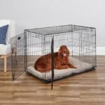 Large Dog Crate + Plush Dog Bed Ombré Swirl (Midwest iCrate Double Door Folding Metal Dog Crate | 42L x 28W x 30H Inches) - Image 4