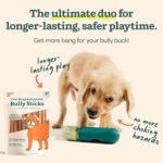 WOOF BullySafe and Bully Sticks - Nutritious Chew Sticks for Dogs and Bully Stick Holder for Safe, Long-Lasting Play - No More Swallowed Ends - 6" Sticks - 5 Pack - Image 3