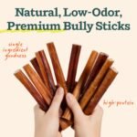WOOF BullySafe and Bully Sticks - Nutritious Chew Sticks for Dogs and Bully Stick Holder for Safe, Long-Lasting Play - No More Swallowed Ends - 6" Sticks - 5 Pack - Image 4