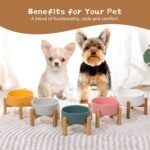 Elevated Ceramic Cat Bowl Set - Cat Food and Water Bowl with Anti Slip Stand - Raised Cat Bowls Anti Vomiting - Double Cat Dishes for Dry Wet Food - Pet Bowls for Cats and Puppies - Grey - Set of 2 - Image 9