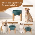 Elevated Ceramic Cat Bowl Set - Cat Food and Water Bowl with Anti Slip Stand - Raised Cat Bowls Anti Vomiting - Double Cat Dishes for Dry Wet Food - Pet Bowls for Cats and Puppies - Grey - Set of 2 - Image 12
