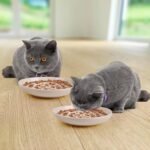 Slow Feeder Cat Bowl Set of 2, Ceramic Cat Slow Feeder - Image 8