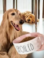 70OZ Ceramic Dog Bowl - 8'' Extra Large Food Water Dog Bowl, Heavy Duty Non-Slip Dog Dish for Medium and Large Dogs, Food Grade Porcelain Pet Feeder Bowl, Microwave & Dishwasher Safe, Pink - Image 9