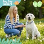 Jspupifip 3 Pack Dog Collar with Dinosaur Pendant Adjustable Dino Pattern Puppy Basic Collars for Small Dogs Daily Walks Park Adventures or Photos - Image 5