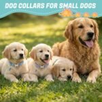 Jspupifip 3 Pack Dog Collar with Dinosaur Pendant Adjustable Dino Pattern Puppy Basic Collars for Small Dogs Daily Walks Park Adventures or Photos - Image 8