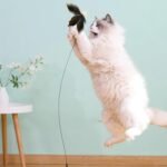 12Pcs Cat Toy Refill Cat Party Supplies Cat Wand Feather Refill Cat Wand Refill Replacement Feather Cat Catcher Toys Cat Wand Replacement Refills for Pet Cat Kitten Teaser String Training - Image 4