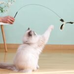 12Pcs Cat Toy Refill Cat Party Supplies Cat Wand Feather Refill Cat Wand Refill Replacement Feather Cat Catcher Toys Cat Wand Replacement Refills for Pet Cat Kitten Teaser String Training - Image 5