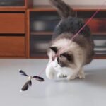 12Pcs Cat Toy Refill Cat Party Supplies Cat Wand Feather Refill Cat Wand Refill Replacement Feather Cat Catcher Toys Cat Wand Replacement Refills for Pet Cat Kitten Teaser String Training - Image 6