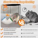 Rat Enrichment Toys, Wide Opening Rat Foraging Toy for Various Treats, Slow Feeder Hanging Fancy Mice Cage Accessories Puzzle Toy More Healthy, Easy-Clean Rodent Toys for Rats, Mice - Image 6