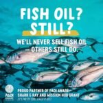 Freshfield Vegan Omega 3, Algae (Algal) Oil, Fish Oil Free Company, Third Party Tested, Carrageenan Free, DHA Supplement w/DPA, Plant Based Omega. Supports Heart, Brain, Joint Health - Image 4