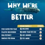 Freshfield Vegan Omega 3, Algae (Algal) Oil, Fish Oil Free Company, Third Party Tested, Carrageenan Free, DHA Supplement w/DPA, Plant Based Omega. Supports Heart, Brain, Joint Health - Image 6