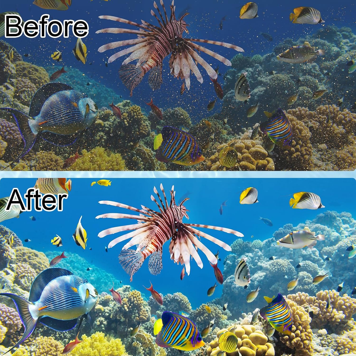 8 Pack Large Filter Cartridges Replacement for Aqueon QuietFlow Filter LED PRO Size 20,30,50,75/Power Filter Size 20,30,50,55/75, E Internal Size 40 and Canister Filter (with 4 Pack Filter Pads) - Image 7