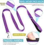 BAAPET 5 Feet Nylon Dog Leash with Triple Reflective Threads and Comfortable Padded Handle for Walking, Training Lead Small Puppy, Medium and Large Dogs or Cats (3/4'' x 5 FT, Purple) - Image 3
