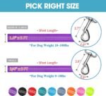 BAAPET 5 Feet Nylon Dog Leash with Triple Reflective Threads and Comfortable Padded Handle for Walking, Training Lead Small Puppy, Medium and Large Dogs or Cats (3/4'' x 5 FT, Purple) - Image 6