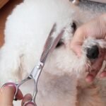 GEMEK Dog Grooming Scissors with Safety Round Tips Stainless Steel Professional Dog Grooming Kit - Thinning, Curved Scissors and Comb for Cat Pet (Pink 4 in 1) - Image 10