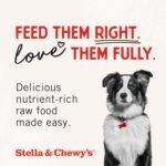 Stella & Chewy’s Freeze Dried Raw Super Beef Meal Mixer – Dog Food Topper for Small & Large Breeds – Grain Free, Protein Rich Recipe – 99g Bag - Image 10