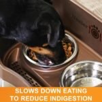 Neater Pet Brands Slow Feed Bowl Stainless Steel (3 Cup) Fits in Large Neater Feeders and Most 2 Quart Feeders - Image 5