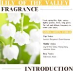 EUQEE Lily of the Valley Fragrance Oils, 2.02 Fl oz Lily of the Valley Essential Oils with Glass Dropper for Diffuser, DIY Soap Candle Making 60ml - Image 4