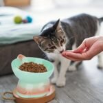 Ceramic Elevated Cat Food Bowls for Food and Water, Anti Vomit Cute Raised Cat Bowls Whisker Friendly for Small Dog Indoor Cats (7.44 Ounces / 220 ML) - Image 8