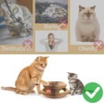 Magic Organ Cat Scratcher Board with 2 Bell Ball, Cat Ball Adventure The Ultimate Interactive Mental Physical Exercise for Indoor Cats Toy - Image 9