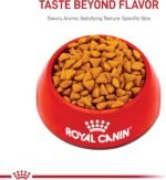 Royal Canin Indoor Adult Dry Cat Food, 15 lb bag - Image 11