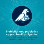 Kaytee Forti Diet Pro Health Bird Food for Parrots, 5-Pound - Image 6