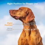 Dog Prong Collar,Choke Collar for Dogs Pinch Training Collar,Detachable Adjustable Choke Collar with Comfort Rubber Tips, Metal Adjustable Large Middle Dog Pet Pinch Collar (A, XL) - Image 7