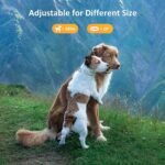 Dog Prong Collar,Choke Collar for Dogs Pinch Training Collar,Detachable Adjustable Choke Collar with Comfort Rubber Tips, Metal Adjustable Large Middle Dog Pet Pinch Collar (A, XL) - Image 8