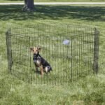 Midwest Foldable Metal Exercise Pen / Pet Playpen, Black 24"W x 30"H - Image 3