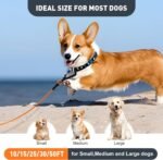 Dog Tie Out Cable 10FT Heavy Duty Chew Proof, Tangle-Free Runner with 360° Swivels & Locking Clip for Large Dogs Up to 250LBS - Rust Proof Leash for Yard, Camping, Outside (Orange 10FT) - Image 7