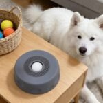Slow Feeder Dog Bowls - Non Slip Anti Choking Puppy Liquid Treats Dispenser,Dog Lick Sphere | for Yogurt Liquid Dietary Supplement Post-Op Nutrition - Image 4